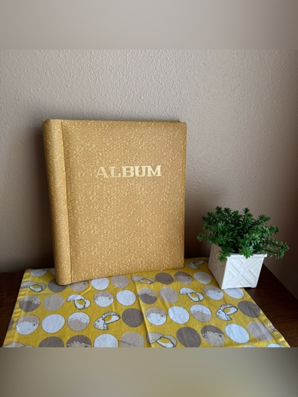 Vintage Family picture album